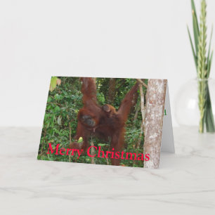 Cartes Pour Fêtes Annuelles Wildlife Christmas