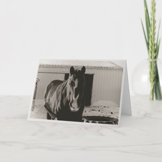 Cartes Pour Fêtes Annuelles Willy (Devant)