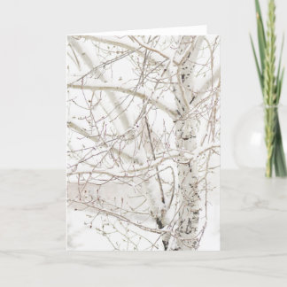 Cartes Pour Fêtes Annuelles Winter Birch Tree - ajoutez votre salutation perso