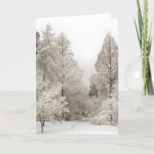 Cartes Pour Fêtes Annuelles Winter Wonderland