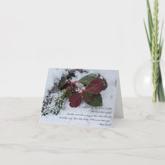 Cartes Pour Fêtes Annuelles Wintergreen Holiday Card