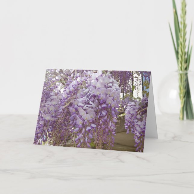 Cartes Pour Fêtes Annuelles Wisteria (Devant)