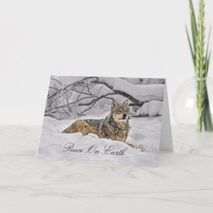 Cartes Pour Fêtes Annuelles Wolf American Grey Wolf Holiday