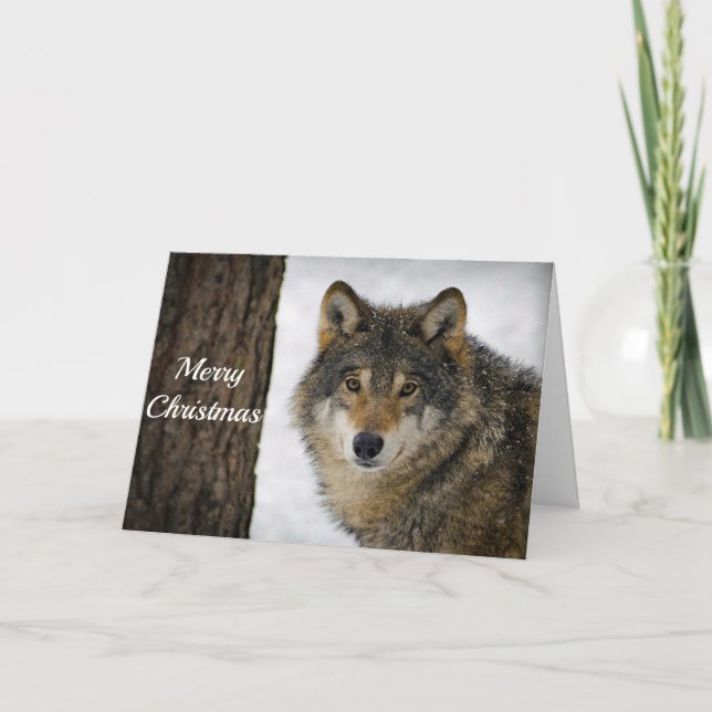 Cartes Pour Fêtes Annuelles Wolf Snow Tree photo Noël (Devant)