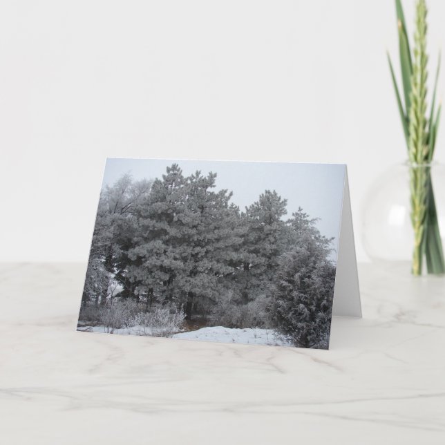 Cartes Pour Fêtes Annuelles Wonderland hivernal gelé (Devant)