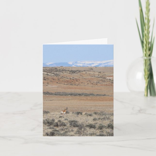 Cartes Pour Fêtes Annuelles Wyo Speed Goat - 4" x 5.6" Notecard (Devant)