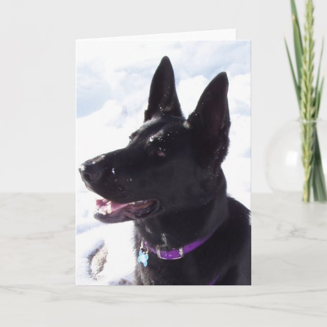 Cartes Pour Fêtes Annuelles xmas1 (Devant)