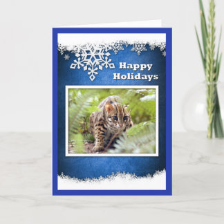 Cartes Pour Fêtes Annuelles xmas-bengal-cat-12