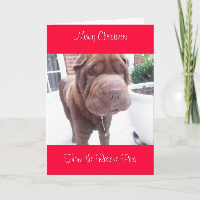 Cartes Pour Fêtes Annuelles xmas card_cr, Joyeux NoëlDe Wallace (Devant)