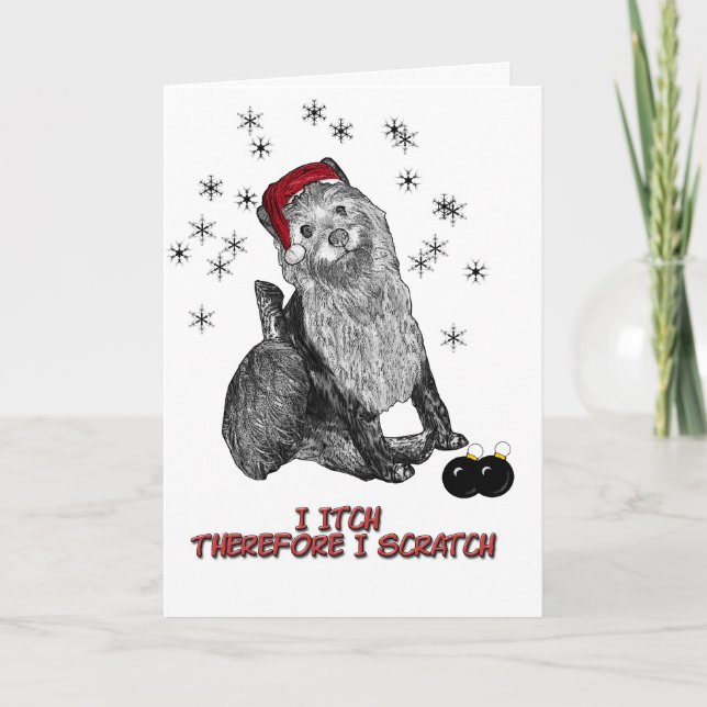 Cartes Pour Fêtes Annuelles Xmas_doG (Devant)