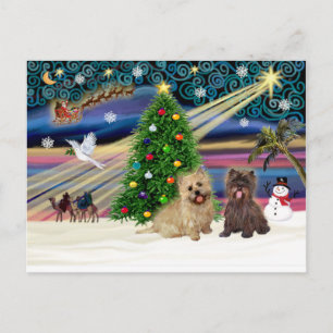 Cartes Pour Fêtes Annuelles Xmas Magic-Cairn Pair-wheatn+brindle