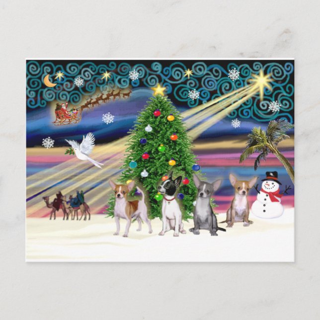 Cartes Pour Fêtes Annuelles Xmas Magic-Chihuahuas (quatre) (Devant)
