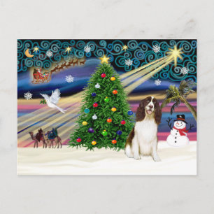 Cartes Pour Fêtes Annuelles Xmas Magic-English Springer
