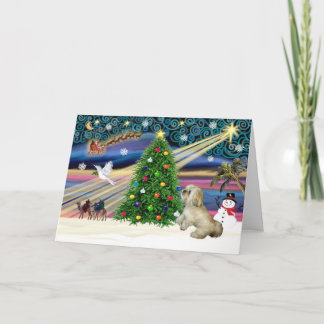 Cartes Pour Fêtes Annuelles Xmas Magic-Lhassa-Roxy