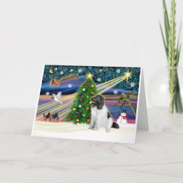 Cartes Pour Fêtes Annuelles Xmas Magic-Newfie-Landseersit