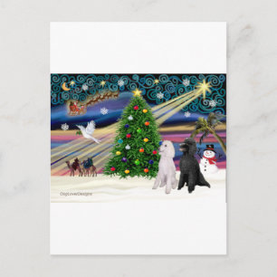 Cartes Pour Fêtes Annuelles XMAS POIDS MAGIQUES ST-Pair2