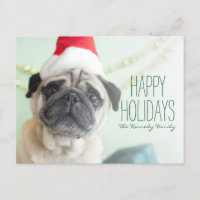Xmas Pug