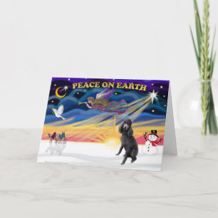 Cartes Pour Fêtes Annuelles XmasSunrise-Black Caniche Standard