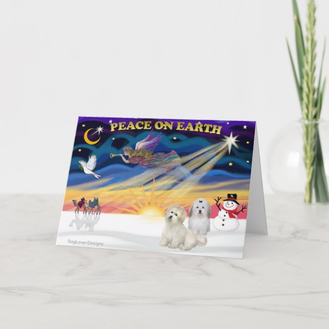 Cartes Pour Fêtes Annuelles XmasSunrise-Deux Cotons De Tulears (Devant)