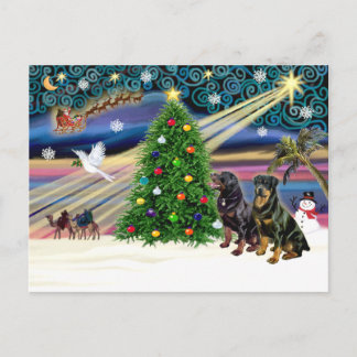 Cartes Pour Fêtes Annuelles Xms Magic-2 ROTTWEILERS