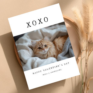 Cartes Pour Fêtes Annuelles XOXO Kit Chaton Rétro Simple Photo Saint-Valentin