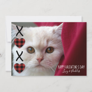 Cartes Pour Fêtes Annuelles XOXO Plaid Valentine's Day Photo