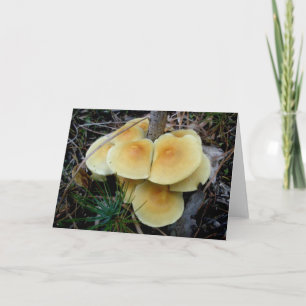 Cartes Pour Fêtes Annuelles Yellow Mushroom Colony OBX Note Card