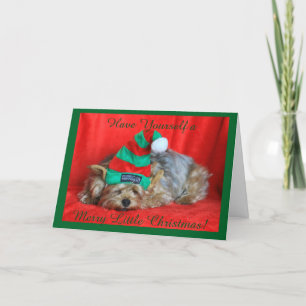 Cartes Pour Fêtes Annuelles Yorkie faisant une sieste utilisant le casquette
