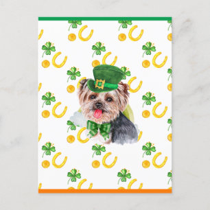 Cartes Pour Fêtes Annuelles Yorkshire Terrier Shamrock St. Patricks Day