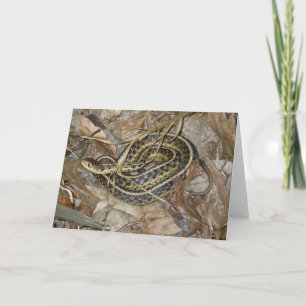 Cartes Pour Fêtes Annuelles Young Eastern Garter Snake Coordinating Items