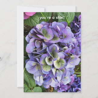 Cartes Pour Fêtes Annuelles You're a star!
