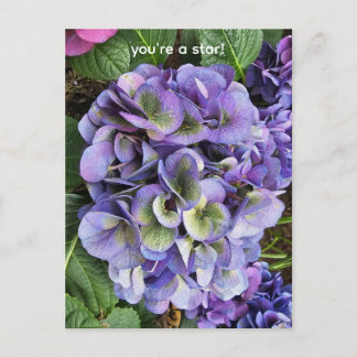 Cartes Pour Fêtes Annuelles You're a star!