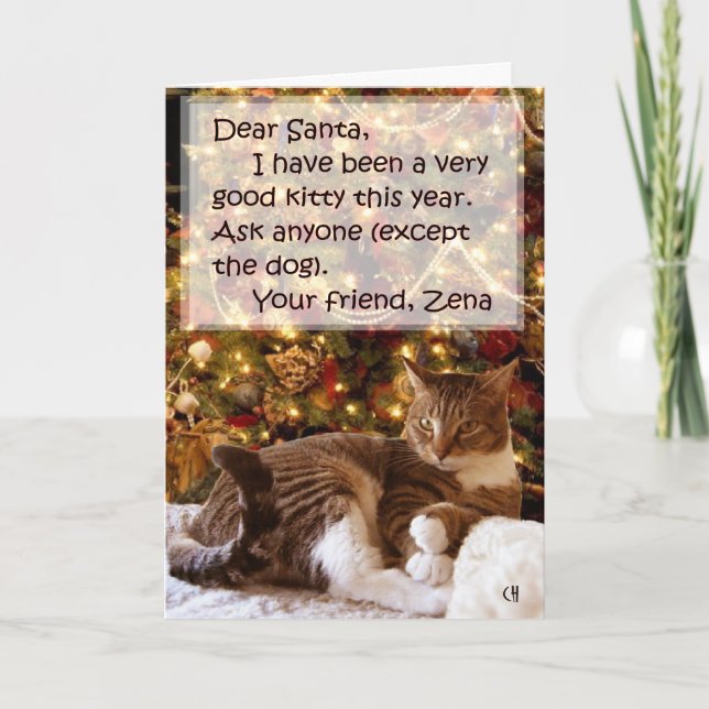 Cartes Pour Fêtes Annuelles Zena Under the Tree Christmas Card (Devant)