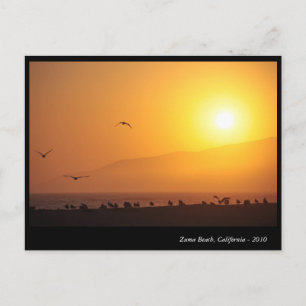 Cartes Pour Fêtes Annuelles Zuma Beach, California