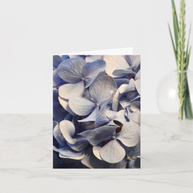 Cartes pour notes blancs Blue Hydrangea (Devant)