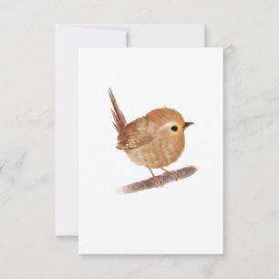 Cartes pour notes blancs Wren Bird