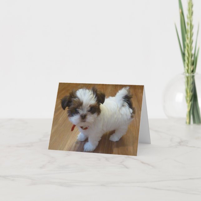 Cartes pour notes de chiot de Shih Tzu (Devant)
