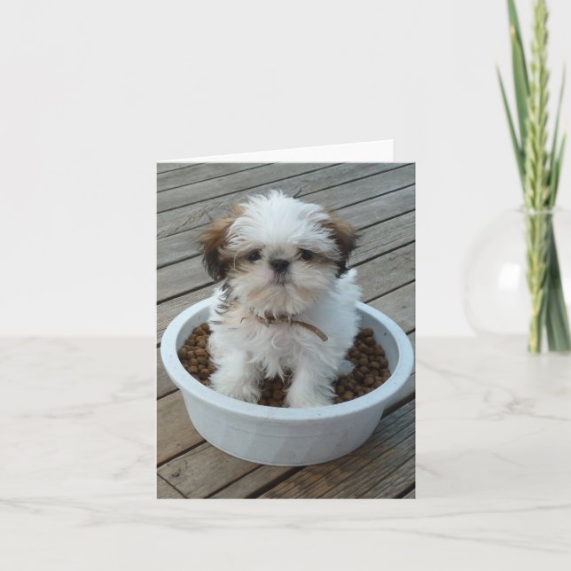 Cartes pour notes de chiot de Shih Tzu (Devant)