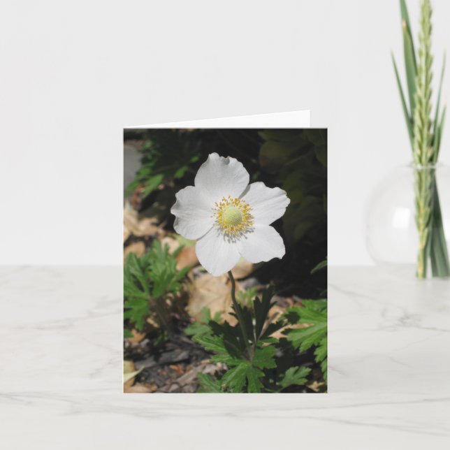 Cartes pour notes de fleur (Devant)
