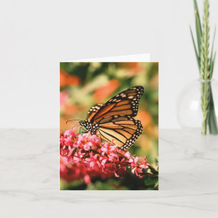 Cartes pour notes de papillon de monarque