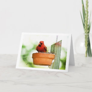 Cartes pour notes d'oiseaux de jardin