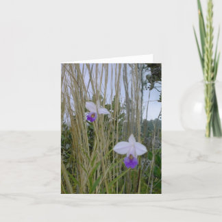 Cartes pour notes d'orchidées sauvages, Big Island