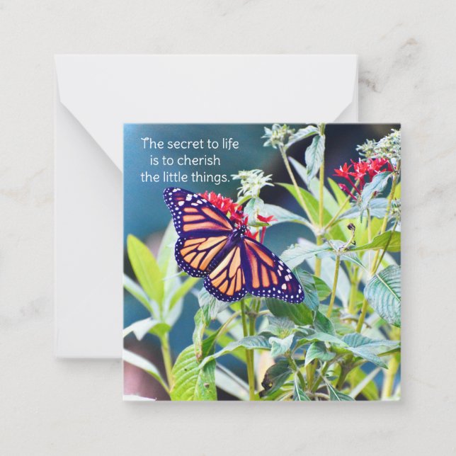 Cartes pour notes Monarch Butterfly (Devant)