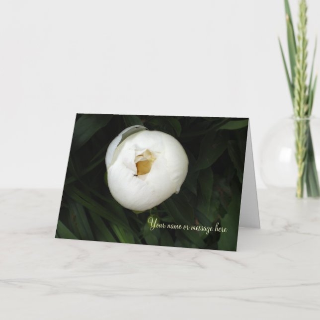 Cartes pour notes White Peony (Devant)