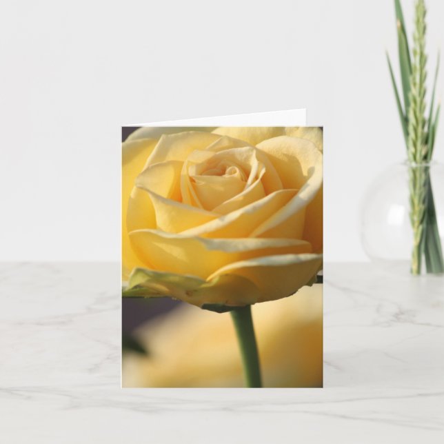 CARTES ROSE JAUNE (Devant)