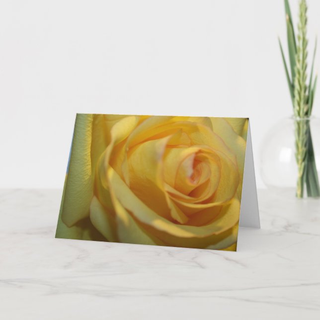 CARTES ROSE JAUNE (Devant)