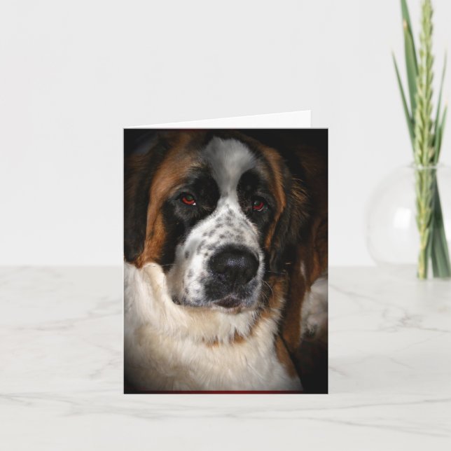 Cartes Saint Bernard, personnalisable (Devant)