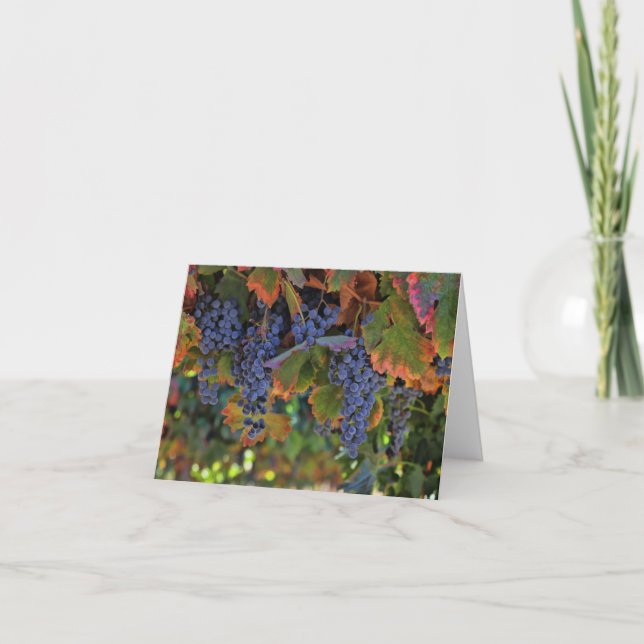 Cartes vierges de note de vin (Devant)