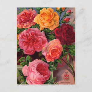 Cartes vintages, Postage et Cadeaux