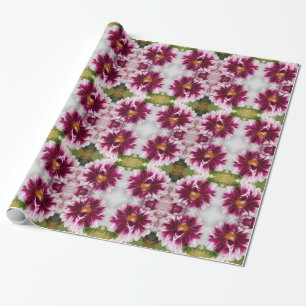 Cartheuserin Geschenkpapier